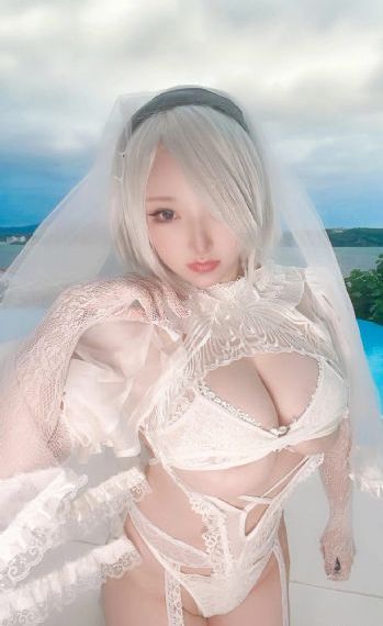 汪汪队动画片全集免费观看_在线电影免费观看